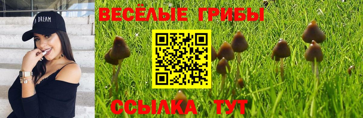 Дербент  Псилоцибиновые грибы Magic Shrooms  Вход с VPN 