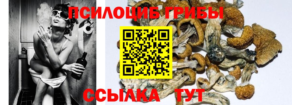 Псилоцибиновые грибы MAGIC MUSHROOMS Дербент